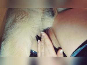 Beyond Boundaries: Dog Cumming in Art