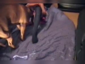 Explore the Limits of Zoophilia in our Videos