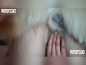 Milly und Zooskool erreichen ein neues Niveau