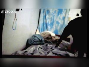 Into the Darkness: Exploring Animal Pornography