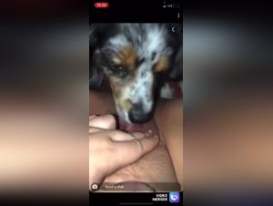 Explore the world of zoophilia and extreme sex