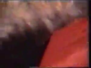 Shock Video: A Blonde and Her Dog in a Bestial Relationship