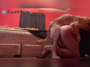 Delizie bestiali: cane, sesso e hardcore divertimento