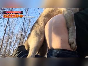 Extreme and hardcore animal sex videos