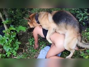 Esplora il desiderio selvaggio: puttane e cani femmine in azione