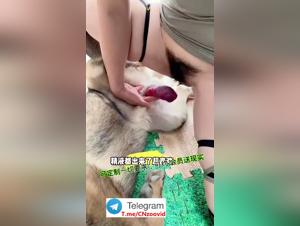 Hundedominanz: Intensive Momente der tierischen Einheit