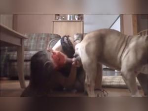 Video of extreme zoophilia with a dog