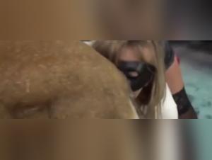 Bestiality and Passion: An Extreme Encounter