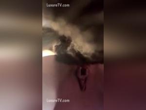 Bestiality sex video with dog