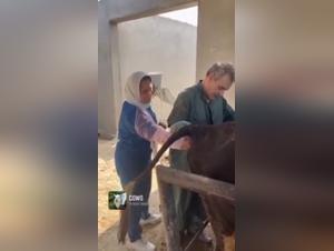 Exciting Bestiality Video