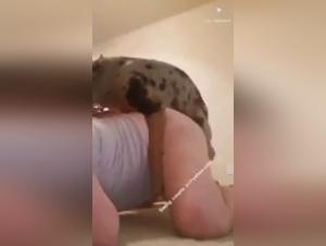 Bestiality sex video: MILF and dog