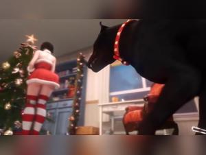 Sex Videos with Dogs and Wild Animals