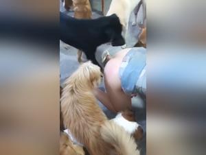 submissive women, orgies with intrepid dogs