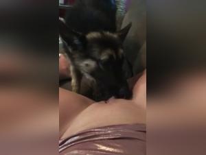 Bestiality sex: a woman lets herself be dominated by a dog