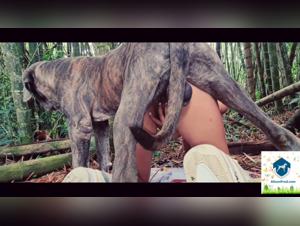 Bestiality Video: A Woman and Her Canine Companion - Part 2