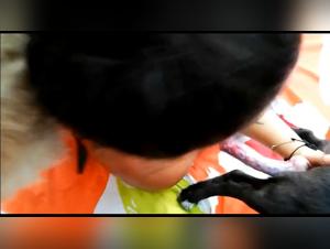 Sesso con una figa sulla faccia di sua moglie e in piu lei si scopera il suo cane