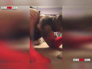 Bestial and extreme video: Discover sex with a dog