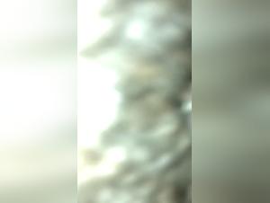 Discover the world of bestiality and sex with animals