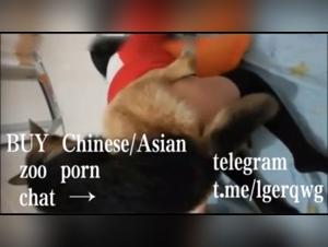 Extreme sex video with an Asian woman and a dog