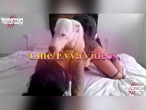 Discover the Forbidden World of Zoophilia with Raven Project