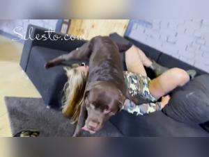 Horsecock Encounters - Artzoo's Reality