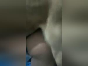 Hard sex scene with a dog