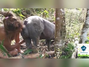 Delizia degli animali: esplorazioni sensuali e sottomissione totale