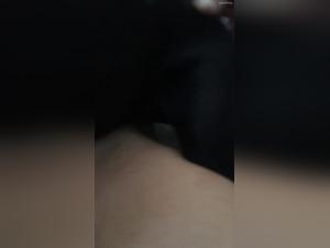 sex movies with animals