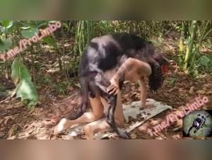 Taboo Realities: Dog Blow Jobs and Encounters