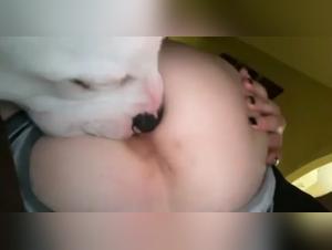 Dog sex: a submissive woman and her dog in an extreme video