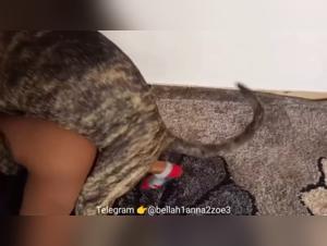 Anna and her EROS 35 A code: a shocking exploration