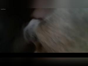 Shocking and exciting bestiality scenes