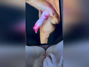 Hardcore animal fucking: LucyLava explores the depths of canine fucking