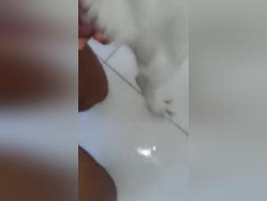 Bestiality video with a Brazilian woman and her dog - Part 2