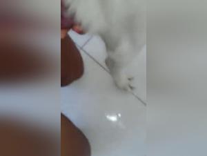 Watch a woman fulfill her fantasies with her dog