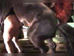 Bestiality Video: Horse and Woman