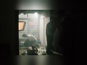 Women and dogs: an exciting combination