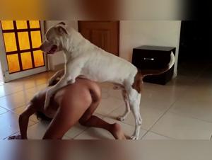 Dominazione canina: esplora i desideri piu profondi