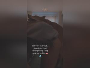 Amateur bestiality video: a unique experience of its kind