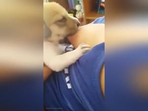 Ultimate bestiality experience with a hungry puppy