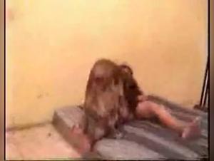 Discover the Ecstasy of Zoophilia