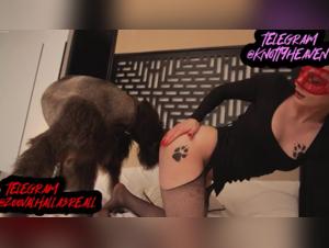 Il suo fascino selvaggio: Milly, il suo cane e un desiderio incontrollabile in ArtofZoo Capitolo 2