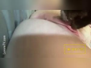 filmed bestiality, animal squirt, intense enjoyment and impure