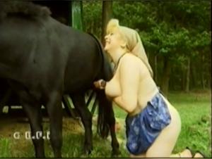 Herrschaft und Vergnugen: ihre bestialische Begegnung