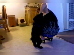 Discover the Best of Bestiality with this Mature Woman and her Dog