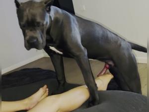 Extreme zoophilia video: woman and dog