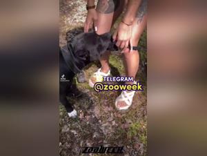 Hardcore bestiality and zoophilia sex videos not to be missed