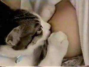 Bestiality and extreme: a shocking and exciting video