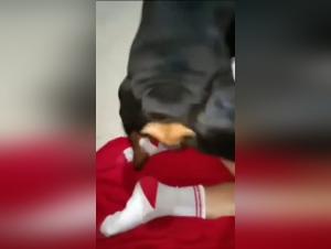 zooporno elle suce son chien