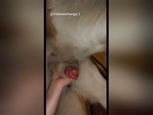 Minderjährige und Bestien